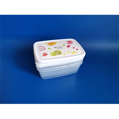 IRIS ARIA tárolódoboz szett 3 darabos, 3x1.200ml IRIS ARIA tárolódoboz szett 3 darabos, 3x1.200ml