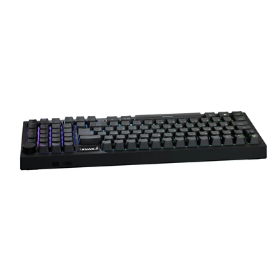 AVAX GM03 98% HUN vezetékes Gasket RGB mechanikus (Outemu piros switch) billentyűzet AVAX GM03 98% HUN vezetékes Gasket RGB mechanikus (Outemu piros switch) billentyűzet