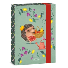 Ars Una Apple Pie 24 (5349) A5 füzetbox