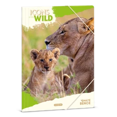 Ars Una Icons of the Wild-Lions 25 (5504) A4 gumis mappa