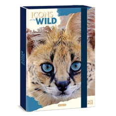 Ars Una Icons of the Wild-Serval 25 (5503) A4 füzetbox