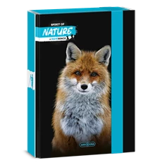 Ars Una Máté Bence-Fox 24 (5388) A5 füzetbox Ars Una Máté Bence-Fox 24 (5388) A5 füzetbox