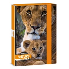 Ars Una Máté Bence-Lion 24 (5433) A5 füzetbox