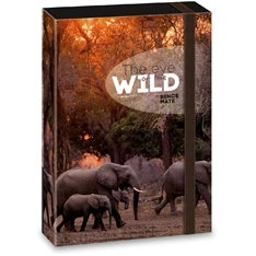 Ars Una The eyes of the wild elephant 5217 A4 füzetbox Ars Una The eyes of the wild elephant 5217 A4 füzetbox