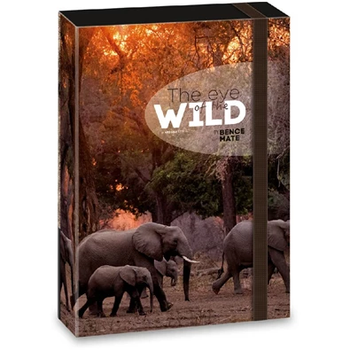 Ars Una The eyes of the wild elephant 5217 A4 füzetbox Ars Una The eyes of the wild elephant 5217 A4 füzetbox
