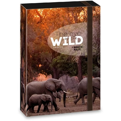Ars Una The eyes of the wild elephant 5217 A5 füzetbox Ars Una The eyes of the wild elephant 5217 A5 füzetbox