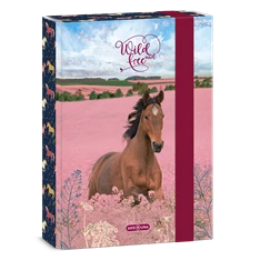 Ars Una Wild And Free 24 (5359) A5 füzetbox