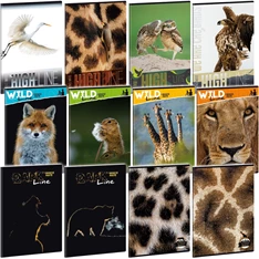 Ars Una Wild Life Moments A4 extra kapcsos kockás füzet Ars Una Wild Life Moments A4 extra kapcsos kockás füzet