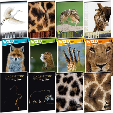 Ars Una Wild Life Moments A4 extra kapcsos kockás füzet Ars Una Wild Life Moments A4 extra kapcsos kockás füzet