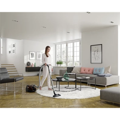 Electrolux EPF65BR barna porzsákos porszívó Electrolux EPF65BR barna porzsákos porszívó