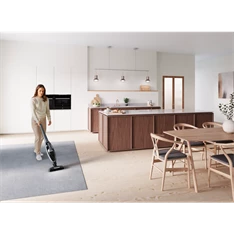 Electrolux WQ81-PANIM Well Q8-P szürke akkumulátoros kézi porszívó
