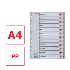 Esselte A4 12 hónapos műanyag regiszter Esselte A4 12 hónapos műanyag regiszter