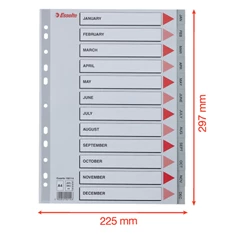 Esselte A4 12 hónapos műanyag regiszter Esselte A4 12 hónapos műanyag regiszter