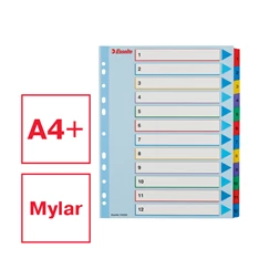 Esselte A4 extra széles 1-12 újraírható regiszter Esselte A4 extra széles 1-12 újraírható regiszter