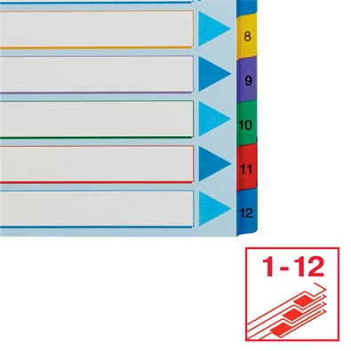 Esselte A4 extra széles 1-12 újraírható regiszter Esselte A4 extra széles 1-12 újraírható regiszter