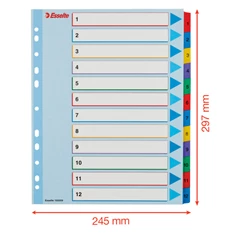 Esselte A4 extra széles 1-12 újraírható regiszter Esselte A4 extra széles 1-12 újraírható regiszter