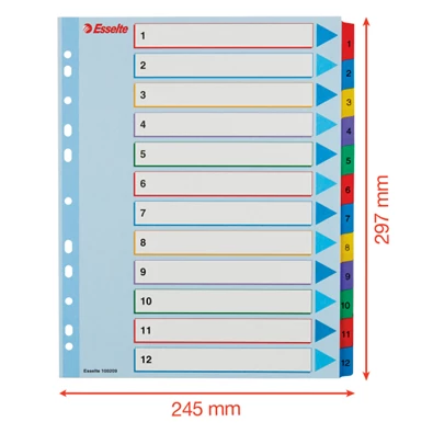 Esselte A4 extra széles 1-12 újraírható regiszter Esselte A4 extra széles 1-12 újraírható regiszter