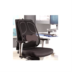 Fellowes 8029901 Professional Series Mesh háttámasz