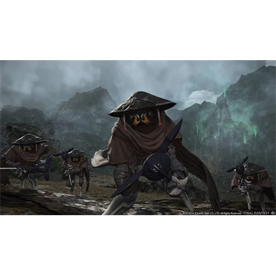 Final Fantasy Xiv: HeaveNSWard+Final Fantasy Xiv: A Realm Reborn PC játékszoftver Final Fantasy Xiv: HeaveNSWard+Final Fantasy Xiv: A Realm Reborn PC játékszoftver