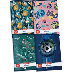 Herlitz Boys/girls A5 20-32 sima füzet Herlitz Boys/girls A5 20-32 sima füzet