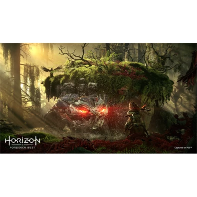Horizon Forbidden West Collector`s Edition PS4/PS5 játékszoftver Horizon Forbidden West Collector`s Edition PS4/PS5 játékszoftver