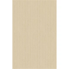 IRIS tekercses csomagóló EKO kraft papír, egyszínű, natúr 200x70cm, 60g/m2 IRIS tekercses csomagóló EKO kraft papír, egyszínű, natúr 200x70cm, 60g/m2