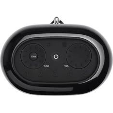 JBL TunerXL fekete hordozható Bluetooth FM/DAB rádiós hangszóró JBL TunerXL fekete hordozható Bluetooth FM/DAB rádiós hangszóró