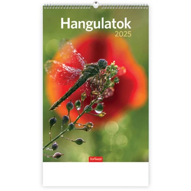 Kalendart 2025 T094 Hangulatok falinaptár Kalendart 2025 T094 Hangulatok falinaptár