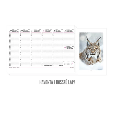 Kalendart 2026 T054 Vadászat álló papír asztali naptár
