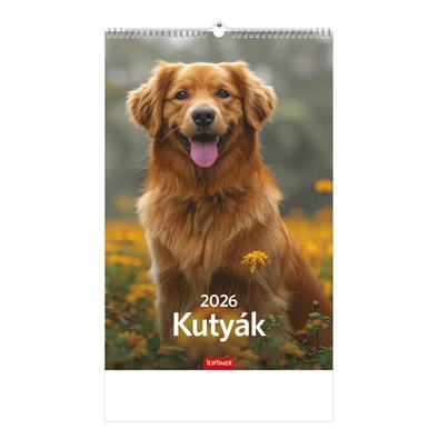 Kalendart 2026 T094 Kutyák falinaptár