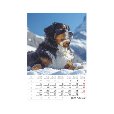 Kalendart 2026 T094 Kutyák falinaptár