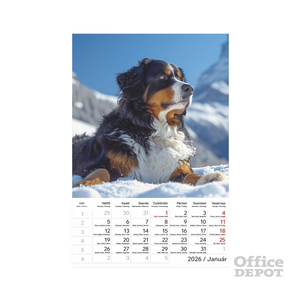 Kalendart 2026 T094 Kutyák falinaptár