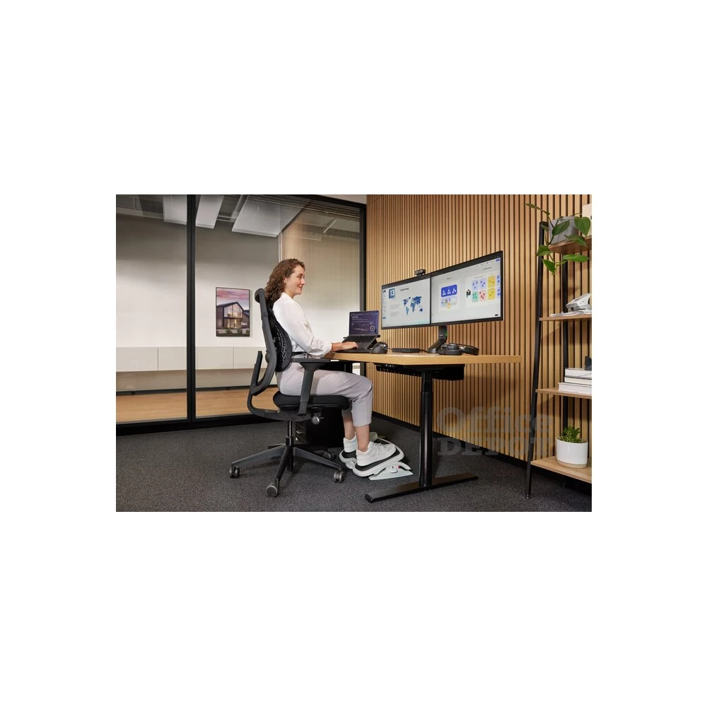 Kensington K60412WW SmartFit háttámasz