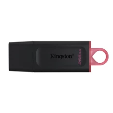 Kingston 256GB USB3.2 DataTraveler Exodia (DTX/256GB) Flash Drive