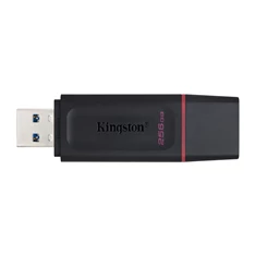 Kingston 256GB USB3.2 DataTraveler Exodia (DTX/256GB) Flash Drive