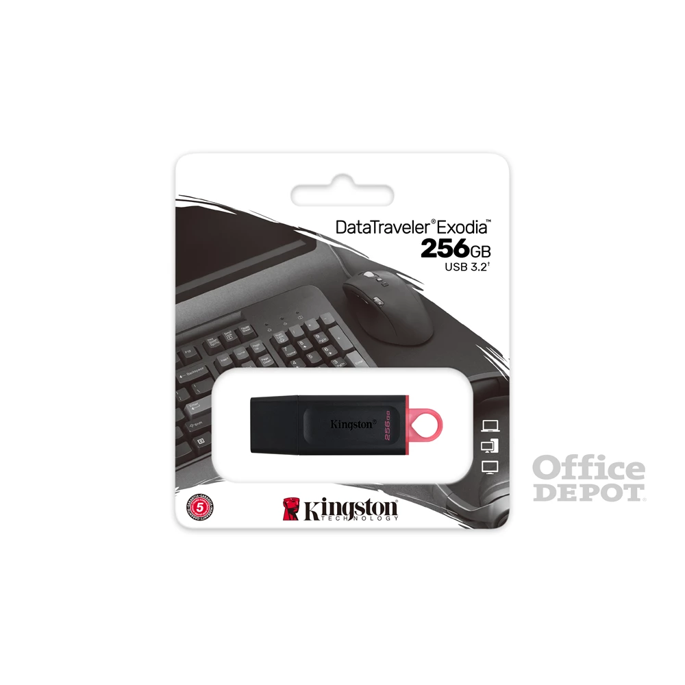 Kingston 256GB USB3.2 DataTraveler Exodia (DTX/256GB) Flash Drive