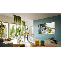 LG 65" 65QNED813RE 4K UHD QNED TV LG 65" 65QNED813RE 4K UHD QNED TV