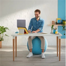 Leitz COSY Ergo bársony szürke ülőlabda
