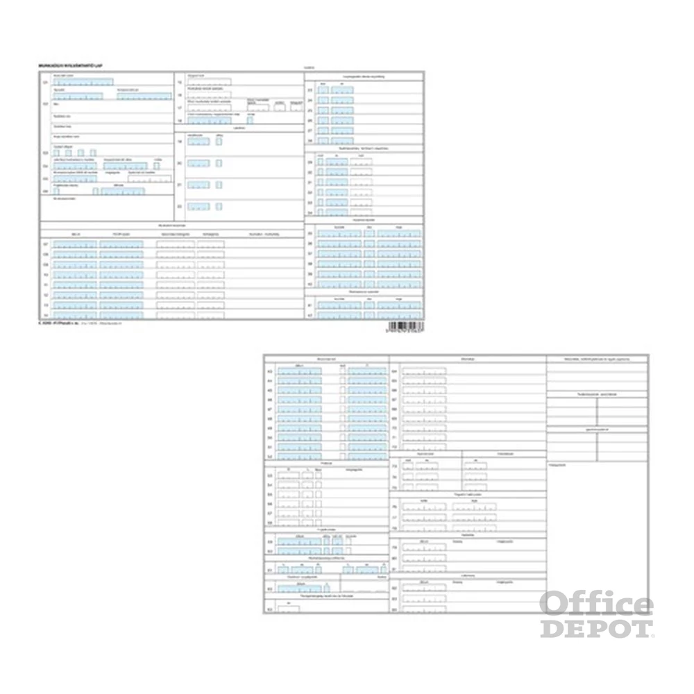 C.0243-41/F/TAS A4 fekvő "Munkaügyi nyilvántartó tasak" nyomtatvány