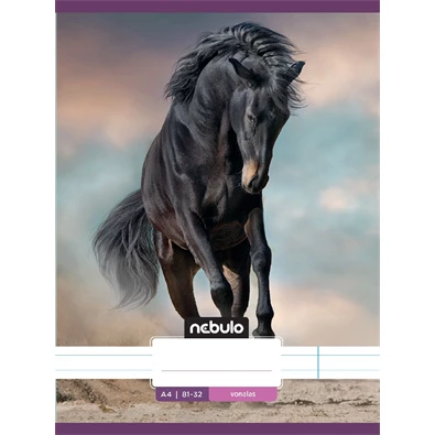 Nebulo L-Design A4 81-32 tűzött vonalas füzet Nebulo L-Design A4 81-32 tűzött vonalas füzet