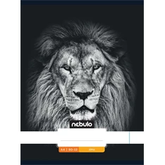 Nebulo Xtreme A4 80-32 tűzött sima füzet