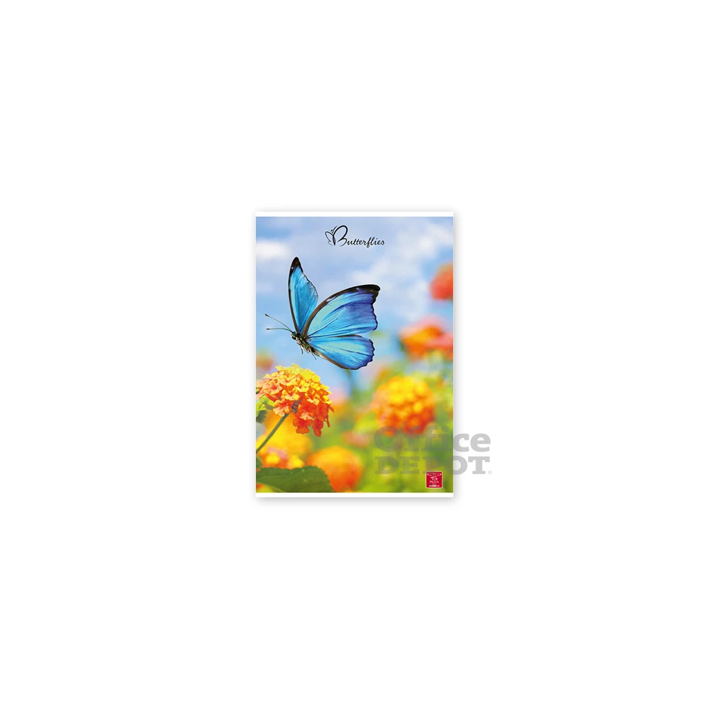 Pigna Butterflies A4 42 lap, tűzött, kockás füzet