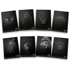 Pigna Monocromo Black A4 38lapos sima füzet Pigna Monocromo Black A4 38lapos sima füzet
