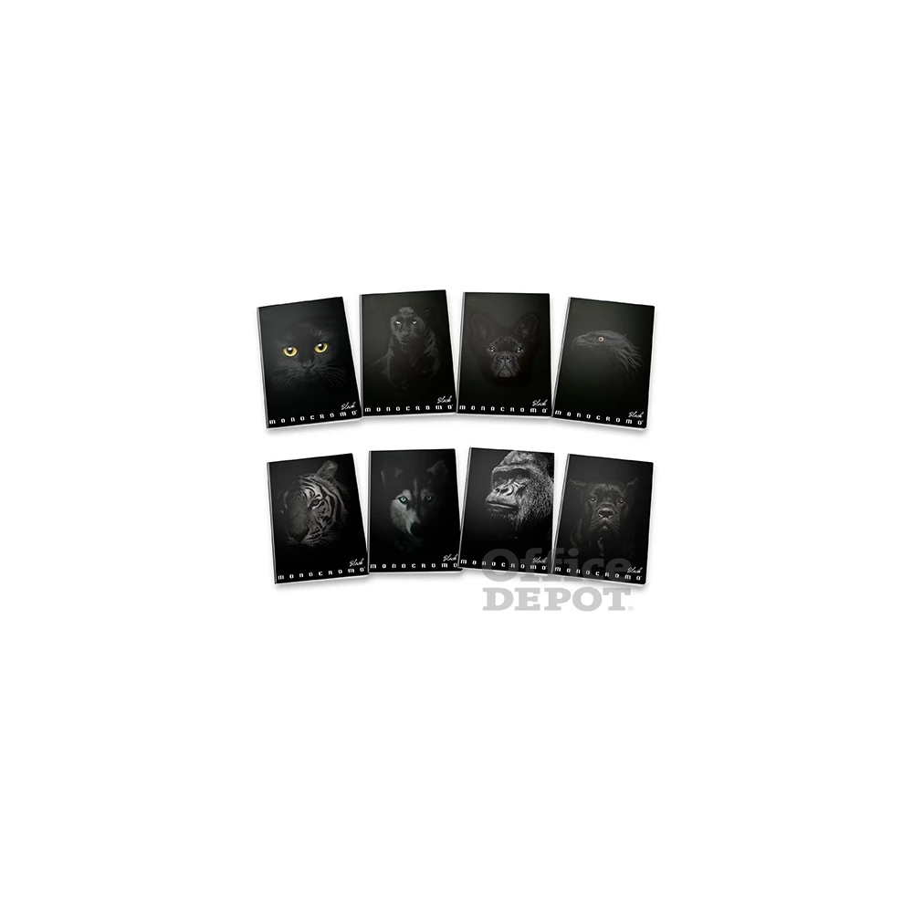 Pigna Monocromo Black A4 38lapos kockás füzet