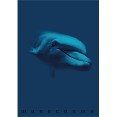 Pigna Monocromo Blue A4 tűzött 38 lapos kockás füzet Pigna Monocromo Blue A4 tűzött 38 lapos kockás füzet