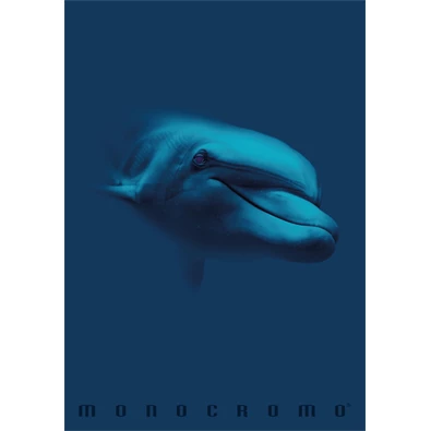 Pigna Monocromo Blue A4 tűzött 38 lapos kockás füzet Pigna Monocromo Blue A4 tűzött 38 lapos kockás füzet