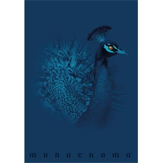 Pigna Monocromo Blue A4 tűzött 38 lapos kockás füzet Pigna Monocromo Blue A4 tűzött 38 lapos kockás füzet