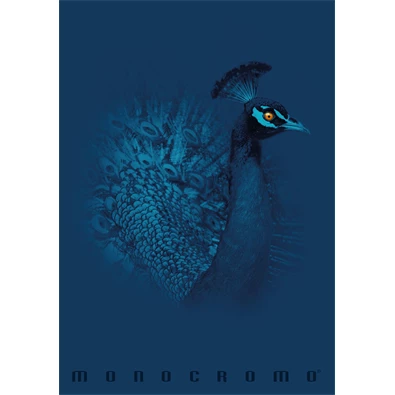 Pigna Monocromo Blue A4 tűzött 38 lapos kockás füzet Pigna Monocromo Blue A4 tűzött 38 lapos kockás füzet