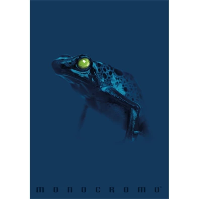 Pigna Monocromo Blue A4 tűzött 38 lapos kockás füzet Pigna Monocromo Blue A4 tűzött 38 lapos kockás füzet