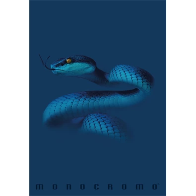Pigna Monocromo Blue A4 tűzött 38 lapos kockás füzet Pigna Monocromo Blue A4 tűzött 38 lapos kockás füzet